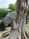 sun mi 傘　（折り畳み）A