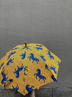 画像3: sun mi 傘　（60ｃｍ）Ｓ