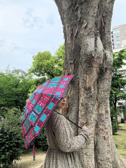 画像1: sun mi 傘　（折り畳み）B