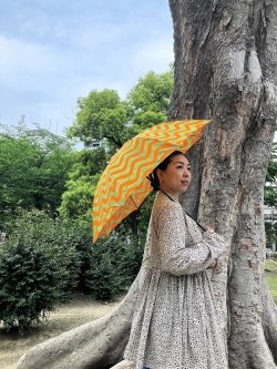 画像1: sun mi 傘　（折り畳み）AA
